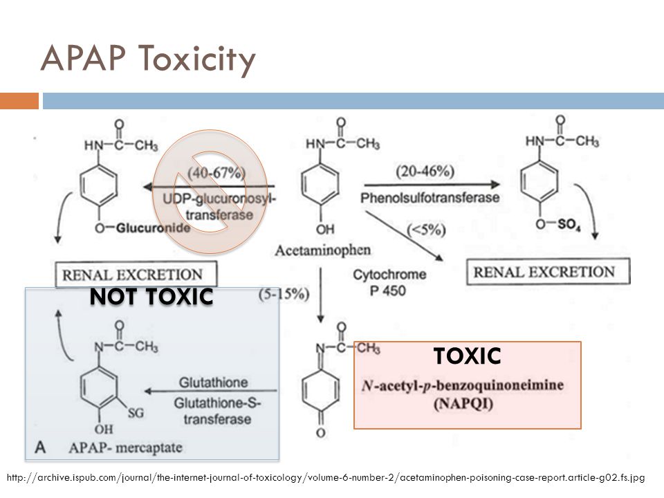 paracetamol-pathway NAPQI