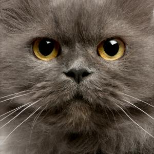 Profile picture for user drh